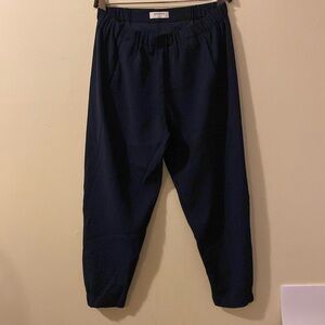 Babaton dexter pants